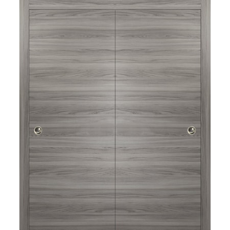 Sartodoors Closet Bypass Interior Door, 64" x 80", Gray PLANUM10DBD-GANP-64